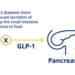 GLP-1: Understanding How It Works, Benefits, and Guidelines for Effective Use