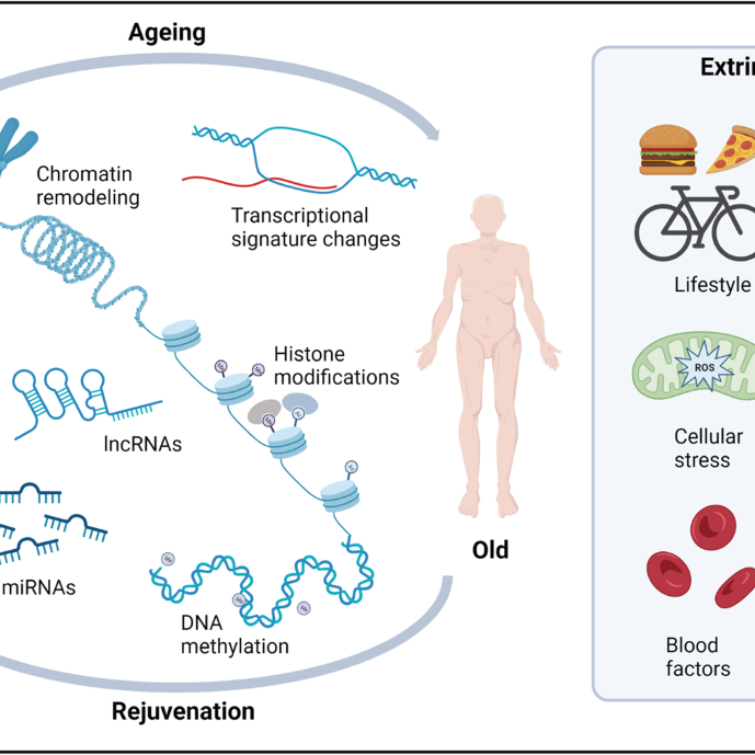 Anti-Aging and Skin Health: How Peptides Support Youthful Skin and Cellular Repair