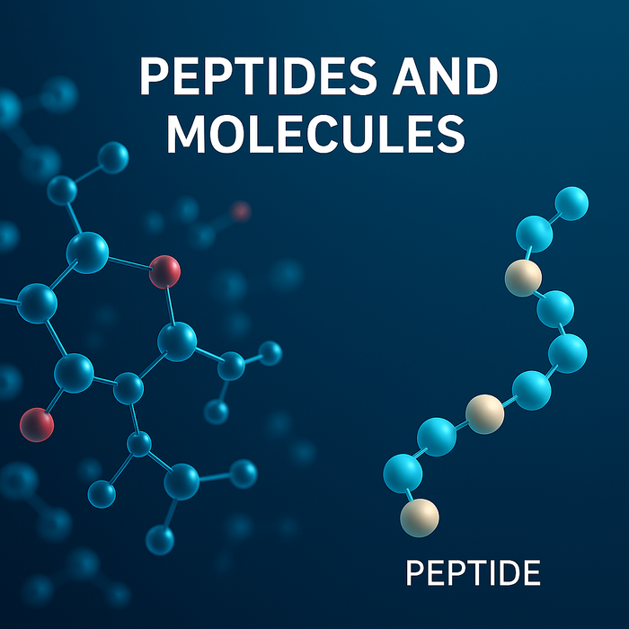 Peptides 101: The Science Behind the Body’s Cellular Messengers