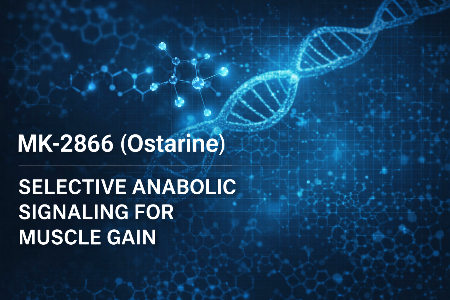 MK-2866 (Ostarine): The Science of Selective Anabolic Signaling