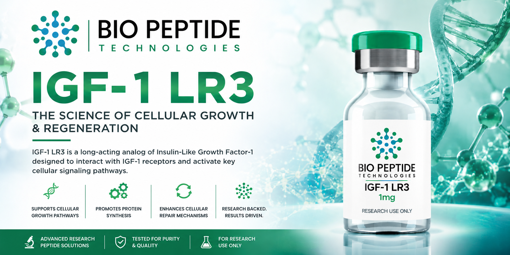 IGF-1 LR3: Decoding the Molecular Blueprint of Cellular Growth