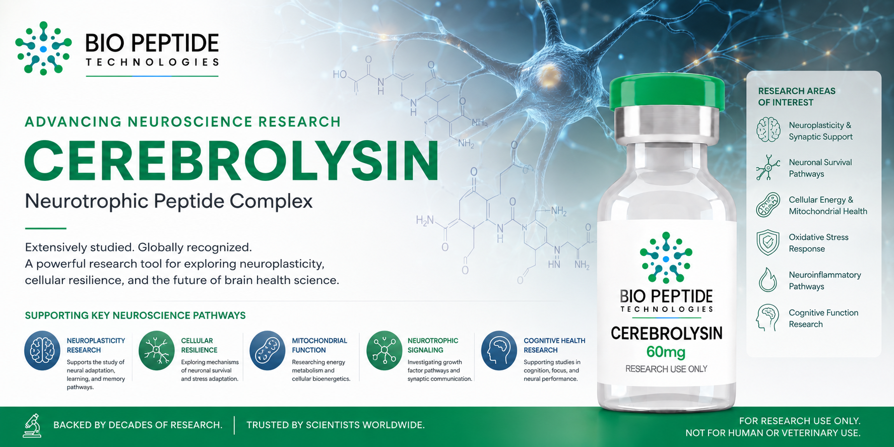Cerebrolysin: Exploring Neurotrophic Signaling, Neuroplasticity, and the Future of Neuroscience Research