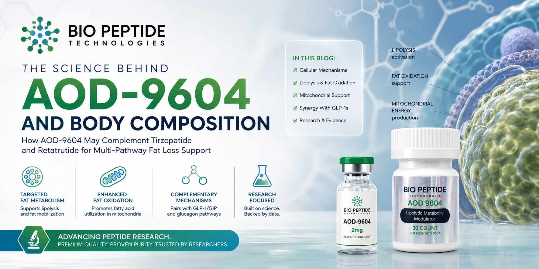 AOD-9604: The Science of Targeted Fat Metabolism and Why It Has Become a Popular Companion to Tirzepatide and Retatrutide