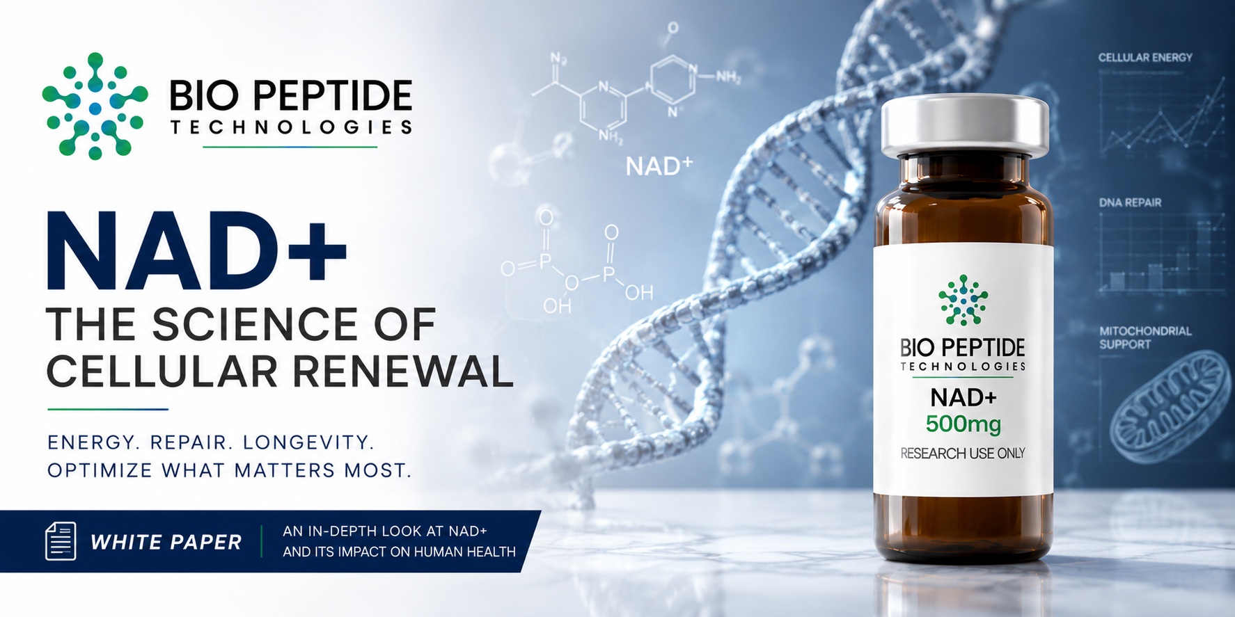 NAD+: The Cellular Currency of Energy, Longevity, and Human Performance