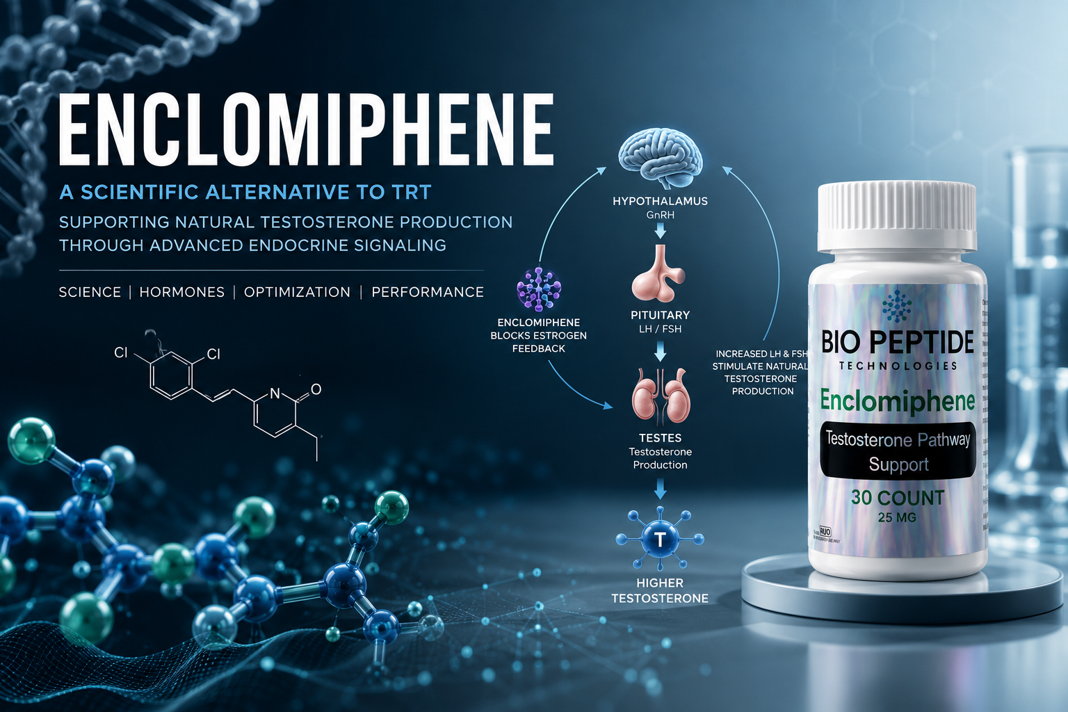 Enclomiphene: A Scientific Alternative to Traditional Testosterone Replacement Therapy