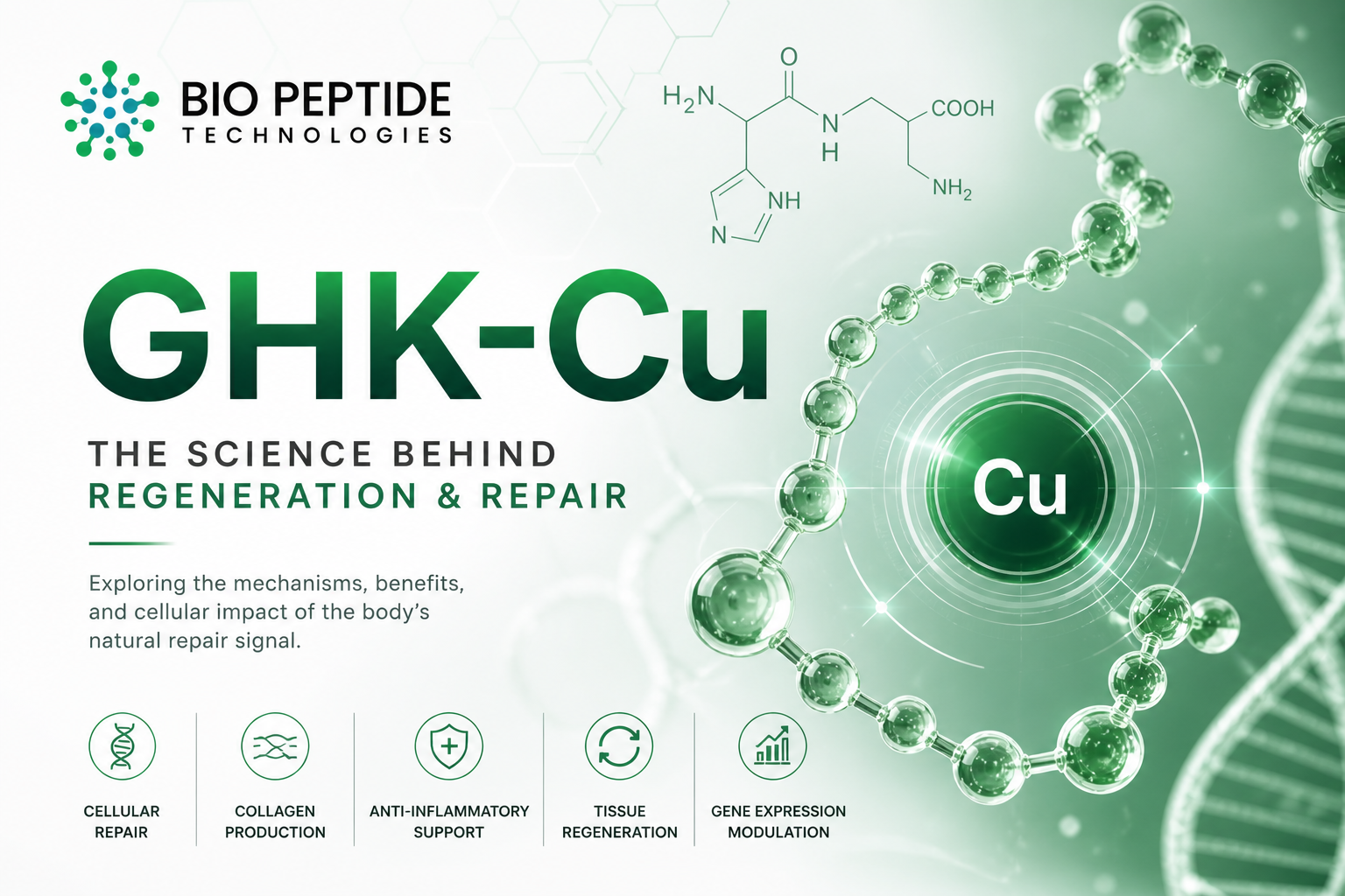 GHK-Cu: The Molecular Signal for Regeneration, Repair, and Cellular Optimization