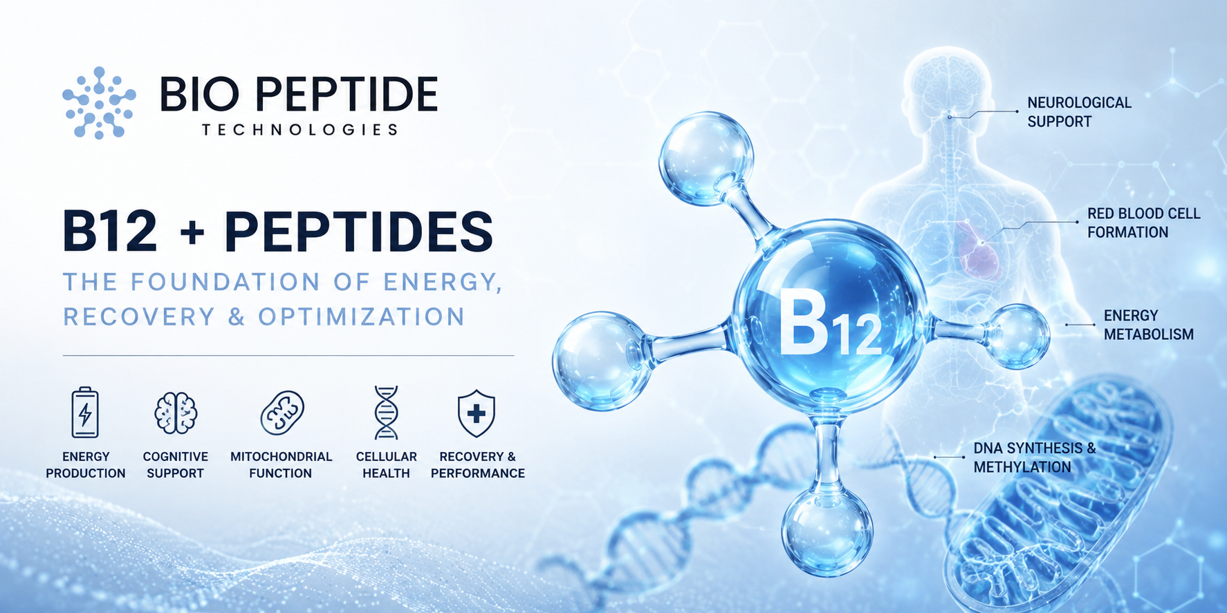 B12 and Peptides: The Missing Link in Performance, Recovery, Energy, and Cellular Optimization