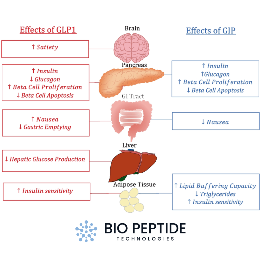 Weight Maintenance after GLP-1 RA Withdrawal Exposes Critical Research Gaps