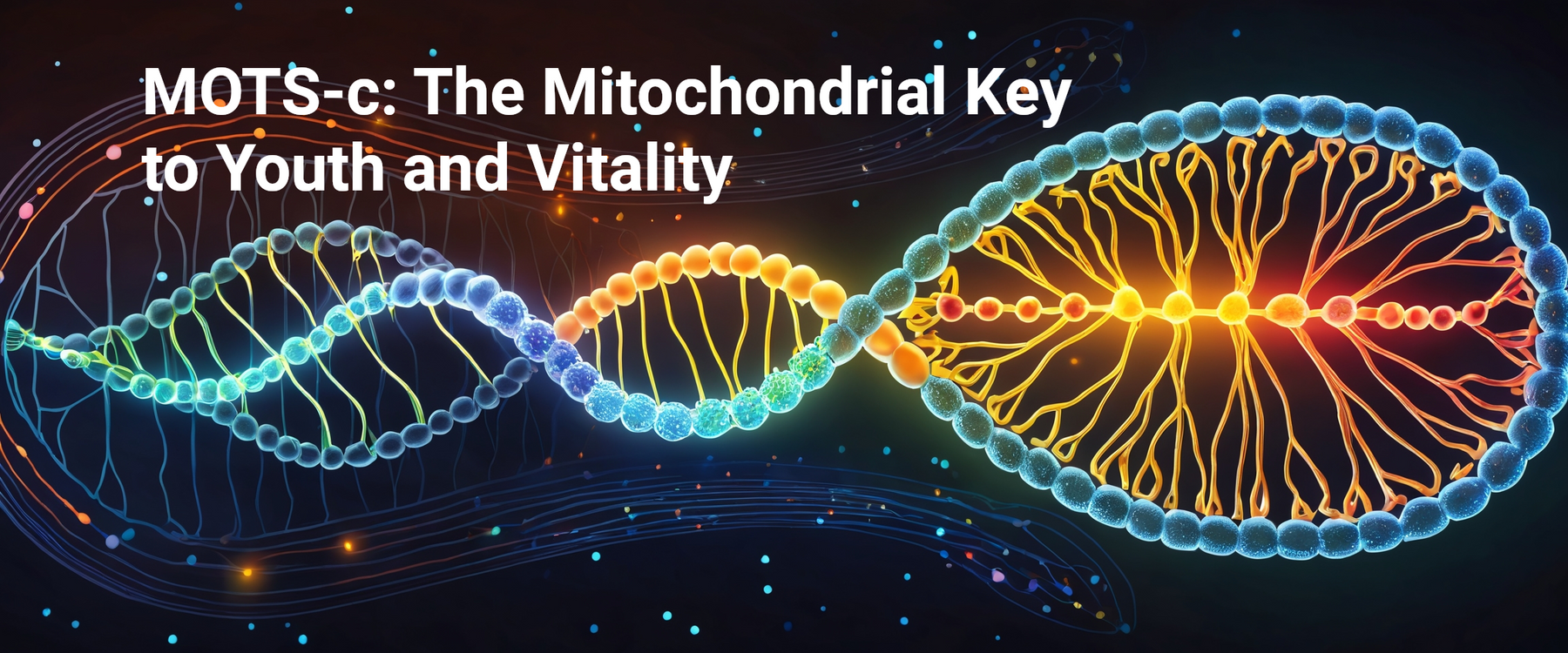 MOTS-c: The Mitochondrial Key to Youth and Vitality