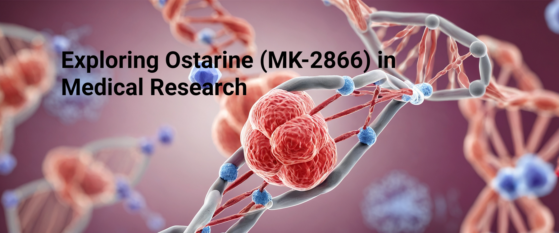 Exploring Ostarine (MK-2866): Potential Therapeutic Uses in Muscle-Wasting Conditions